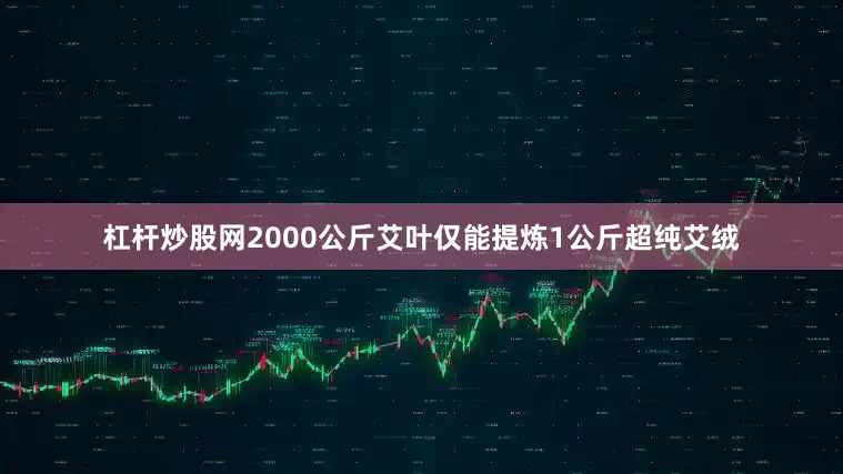 杠杆炒股网2000公斤艾叶仅能提炼1公斤超纯艾绒