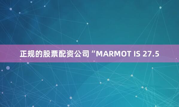 正规的股票配资公司“MARMOT IS 27.5