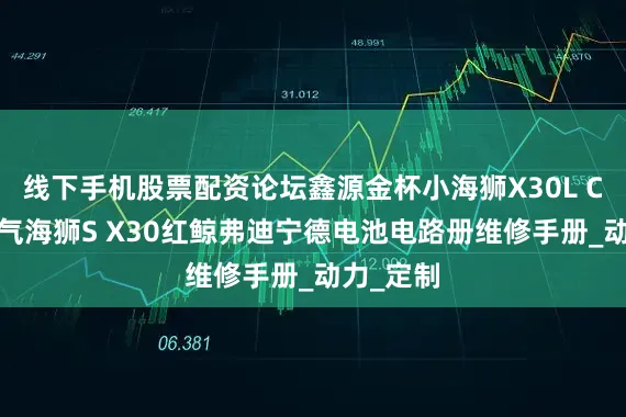 线下手机股票配资论坛鑫源金杯小海狮X30L CNG天然气海狮S X30红鲸弗迪宁德电池电路册维修手册_动力_定制